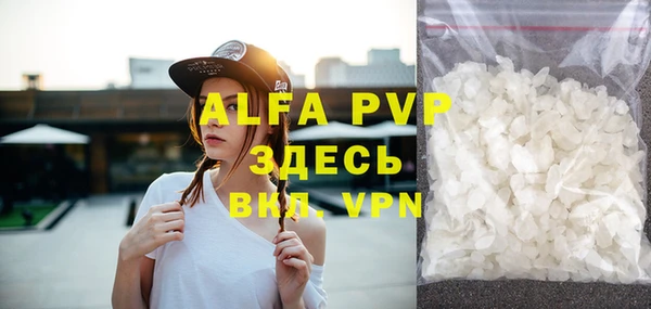 прущие грибы Абаза