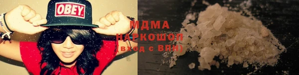 прущие грибы Абаза