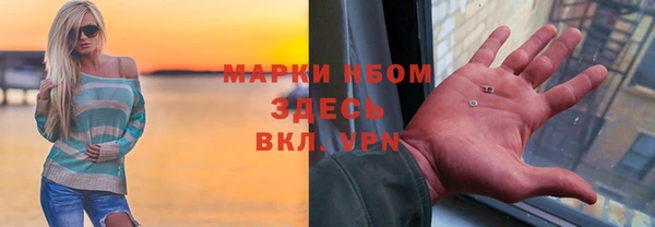 прущие грибы Абаза