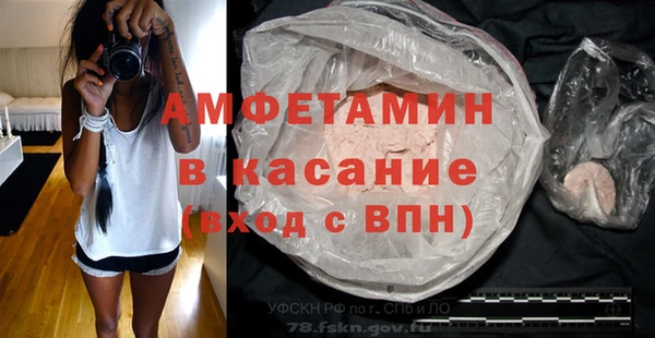 прущие грибы Абаза