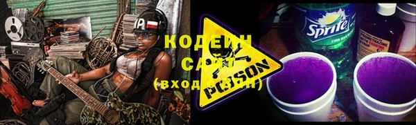 прущие грибы Абаза