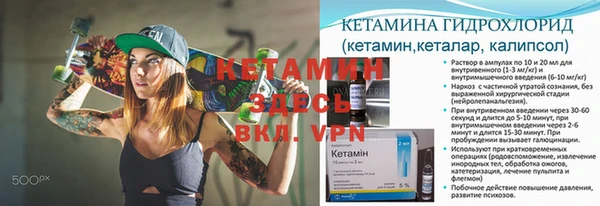 прущие грибы Абаза