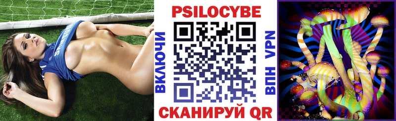 Псилоцибиновые грибы GOLDEN TEACHER  цена   Ковров 