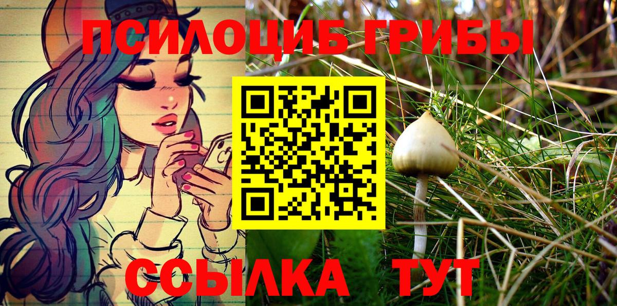 Ковров  Галлюциногенные грибы Psilocybine cubensis  купить   Вход с VPN  Галлюциногенные грибы мухоморы 