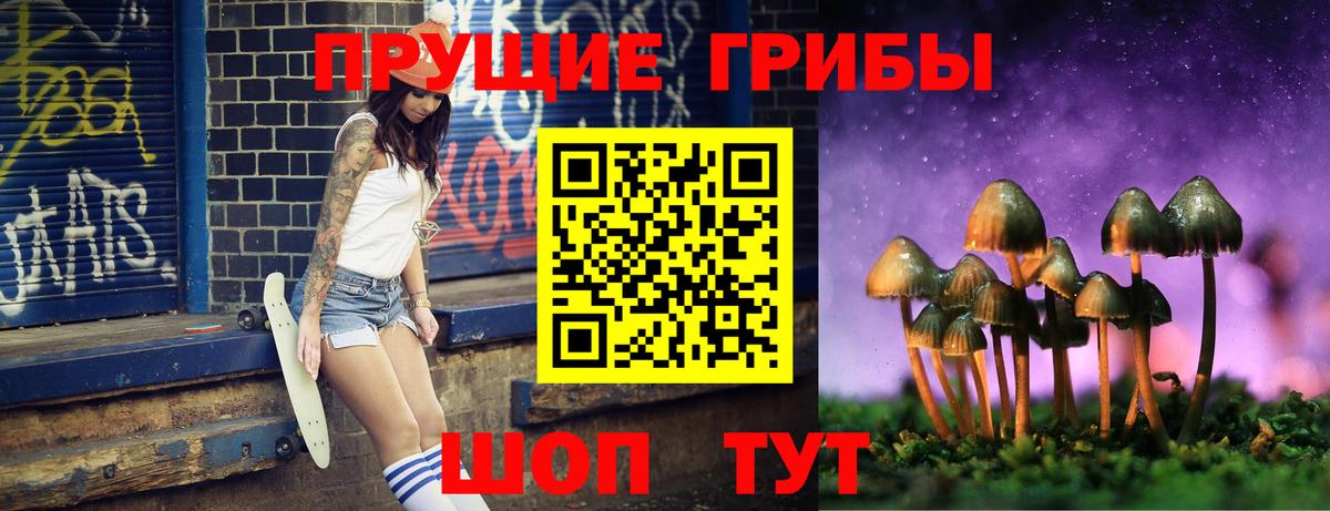 Галлюциногенные грибы GOLDEN TEACHER Ковров